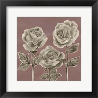 Marsala Roses I Framed Print
