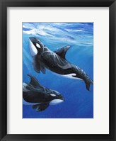 Framed Under Sea Whales II