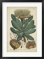 Framed Weinmann Foliage & Fruit I