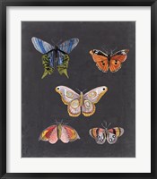 Framed Butterflies on Slate II