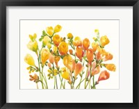 Freesia I Framed Print