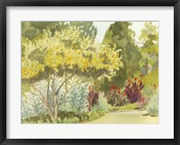 Framed Plein Air Garden VI