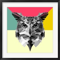 Framed Owl Head