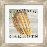 Framed Farm Fresh Carrots