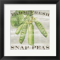 Farm Fresh Peas Framed Print