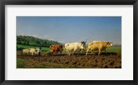 Framed Ploughing in the Nivernais, 1849