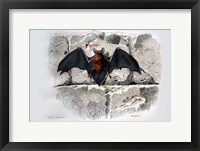 Framed Bat I