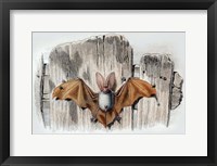 Framed Bat II