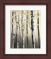 Framed 'Golden Birch II' border=