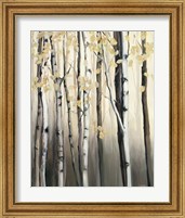 Framed 'Golden Birch II' border=