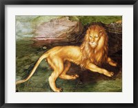 Framed Lion