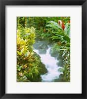 Framed Waterfall, Tabacon, Costa Rica