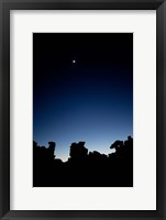 Framed Quiver Tree Forest at Night, Namibia