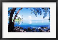 Framed Rope Swing Over Water, Florida Keys