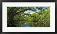 Framed Estero River in Fort Myers, Florida