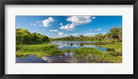 Framed Deer Prairie Creek Preserve, Sarasota County, Venice, Florida