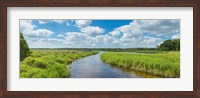 Framed Myakka River State Park, Sarasota, Florida