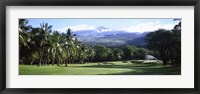 Framed Makena Golf Course, Maui, Hawaii