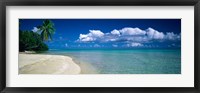 Framed Palm Tree in the French Polynesia