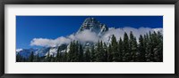 Framed Jasper National Park, Canadian Rockies