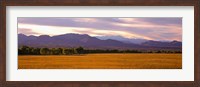 Framed Bosque Del Apache National Wildlife Refuge, New Mexico