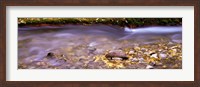 Framed Cimarron Creek, New Mexico