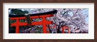 Framed Japan Takenaka Inari Shrine