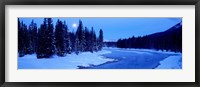 Framed Moon Rising Above The Forest, Banff National Park, Alberta, Canada