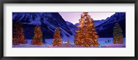 Framed Christmas Trees, Lake Louise, Alberta, Canada