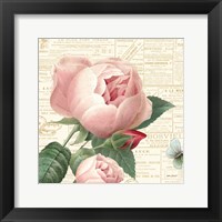 Framed Roses in Paris V