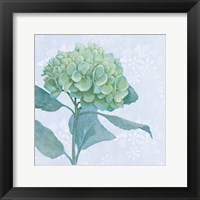 Blue Hydrangea I Crop Framed Print