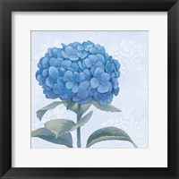 Blue Hydrangea III Crop Framed Print