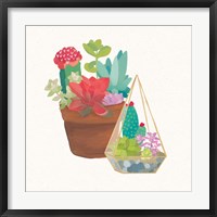 Succulent Garden IV Framed Print