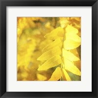 Autumn Photography III Framed Print