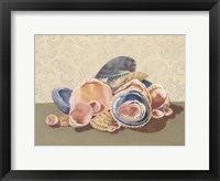 Shell Collection I Framed Print