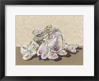 Framed Shell Collection II