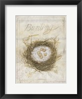 Nest - Bunting Framed Print