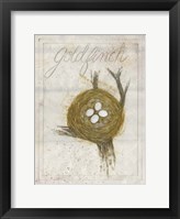 Nest - Goldfinch Framed Print