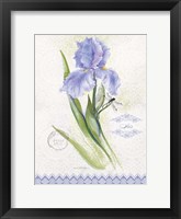 Flower Study on Lace VII Framed Print