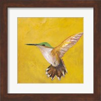 Framed Sweet Hummingbird II