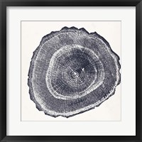 Tree Ring III Framed Print