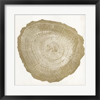 Tree Ring IV Framed Print
