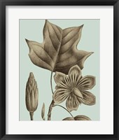 Flowering Trees I Framed Print