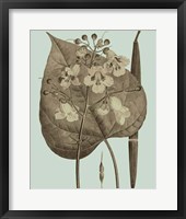 Flowering Trees II Framed Print