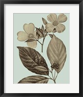 Flowering Trees III Framed Print