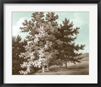 Serene Trees I Framed Print