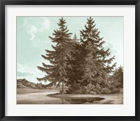 Serene Trees III Framed Print