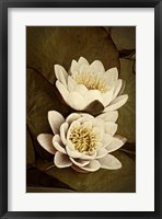 Lily Pad Duo I Framed Print