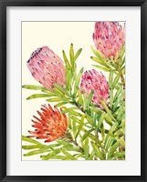 Watercolor Tropical Flowers I Framed Print