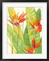 Framed Watercolor Tropical Flowers III